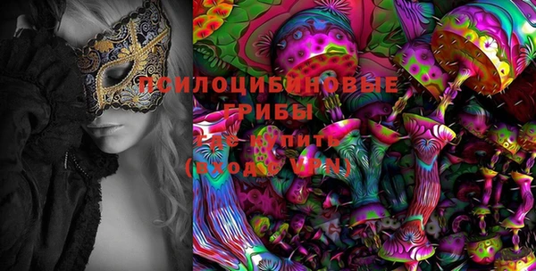 мяу мяу мука Абдулино