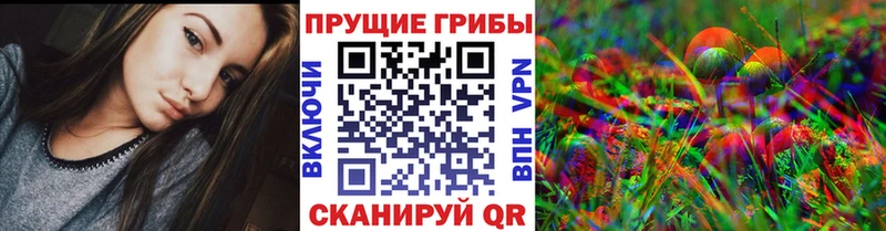 Псилоцибиновые грибы GOLDEN TEACHER  Великий Новгород 